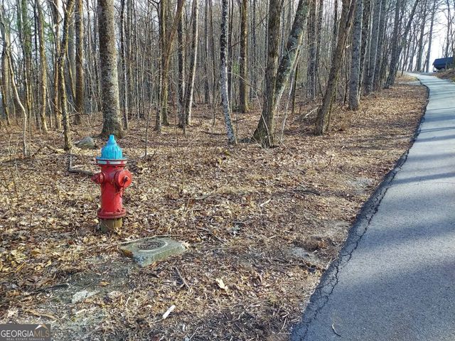 0 LOTS 9 & 9A Wild Bird, Sky Valley, GA 30537