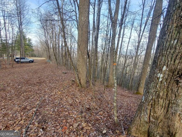 0 LOTS 9 & 9A Wild Bird, Sky Valley, GA 30537