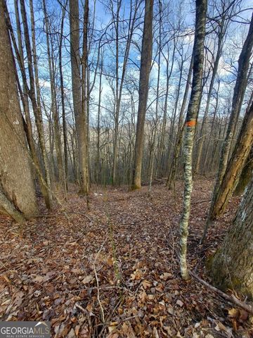 0 LOTS 9 & 9A Wild Bird, Sky Valley, GA 30537