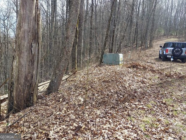 0 LOTS 9 & 9A Wild Bird, Sky Valley, GA 30537