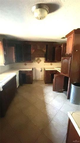 310 Chayo Street, Sullivan City, TX 78595