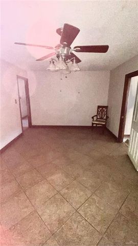 310 Chayo Street, Sullivan City, TX 78595