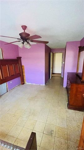 310 Chayo Street, Sullivan City, TX 78595