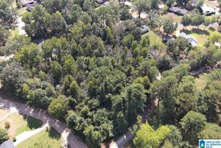 lot 25 LAKE TERRACE ROAD, Sylacauga, AL 35150