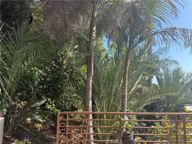 1994 Stanley, Signal Hill, CA 90755