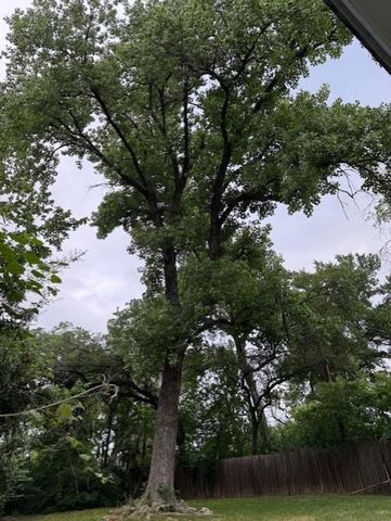 9512 EDDYSTONE, Austin, TX 78729
