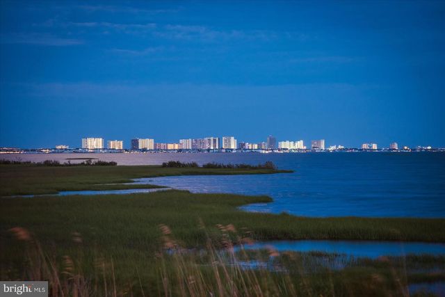 20531 CATTAIL CREEK LN, Selbyville, DE 19975