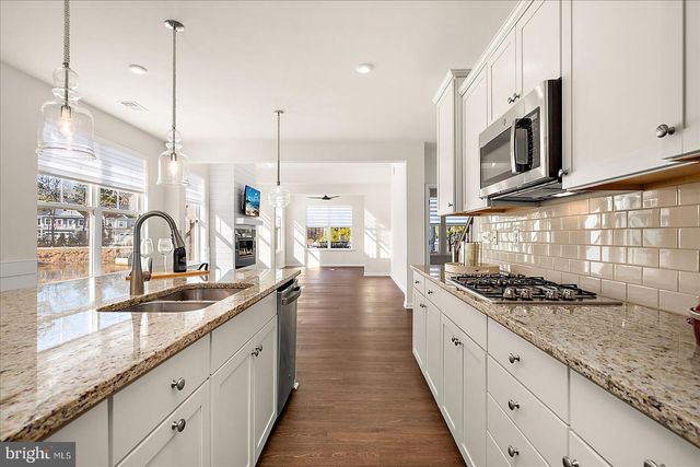 20531 CATTAIL CREEK LN, Selbyville, DE 19975