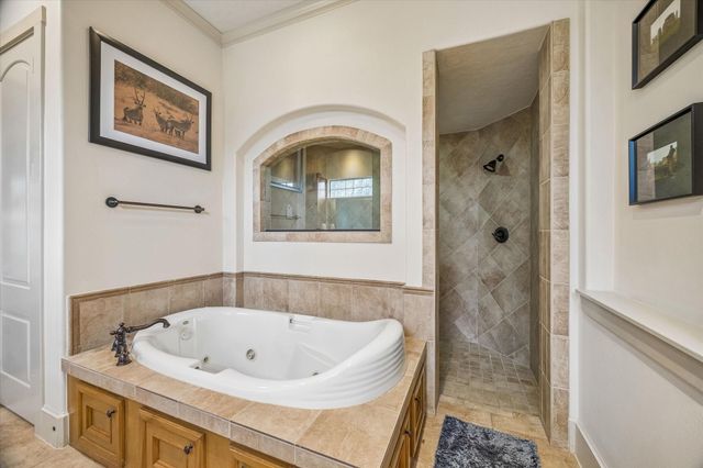 70 Shadow Creek Ridge Drive, Spring, TX 77389