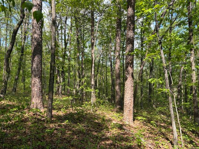 1949 Hwy 9 E, Shirley, AR 72153