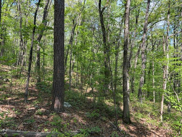 1949 Hwy 9 E, Shirley, AR 72153