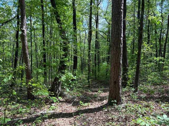 1949 Hwy 9 E, Shirley, AR 72153