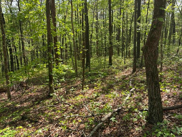1949 Hwy 9 E, Shirley, AR 72153