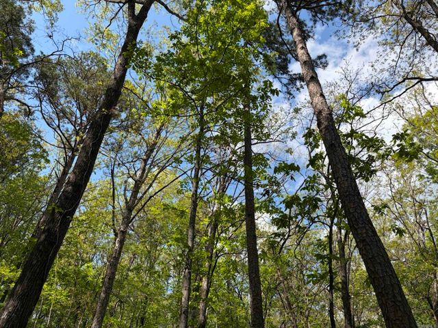 1949 Hwy 9 E, Shirley, AR 72153