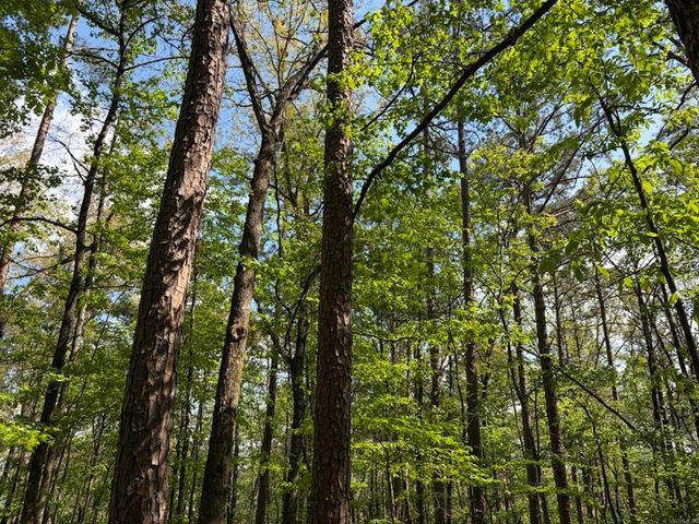 1949 Hwy 9 E, Shirley, AR 72153