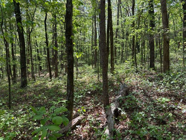 1949 Hwy 9 E, Shirley, AR 72153
