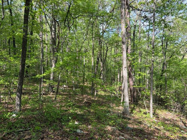 1949 Hwy 9 E, Shirley, AR 72153