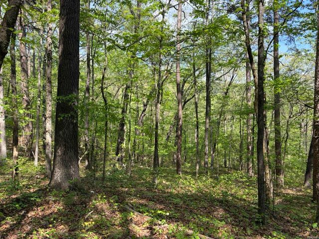 1949 Hwy 9 E, Shirley, AR 72153
