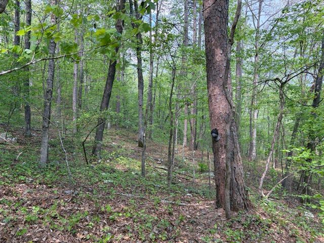 1949 Hwy 9 E, Shirley, AR 72153