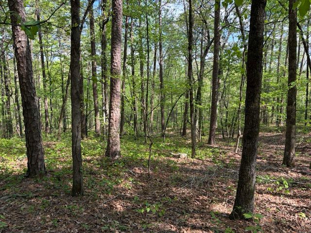 1949 Hwy 9 E, Shirley, AR 72153