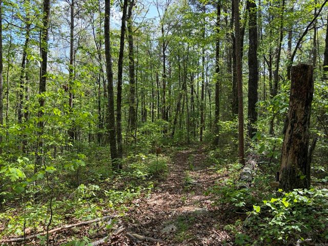 1949 Hwy 9 E, Shirley, AR 72153