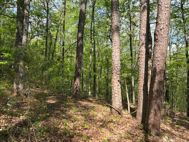 1949 Hwy 9 E, Shirley, AR 72153