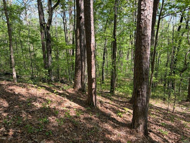 1949 Hwy 9 E, Shirley, AR 72153