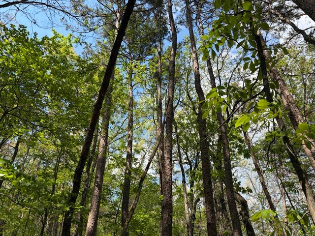 1949 Hwy 9 E, Shirley, AR 72153