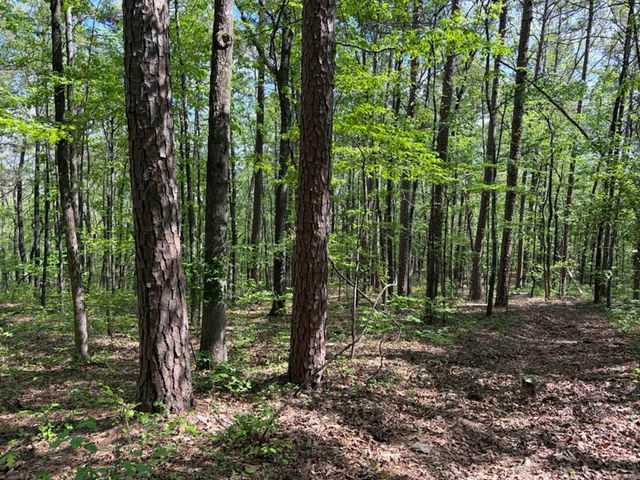 1949 Hwy 9 E, Shirley, AR 72153