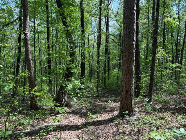 1949 Hwy 9 E, Shirley, AR 72153