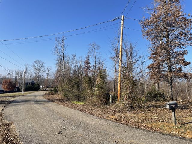 0 Driftwood Dr, Lobelville, TN 37097