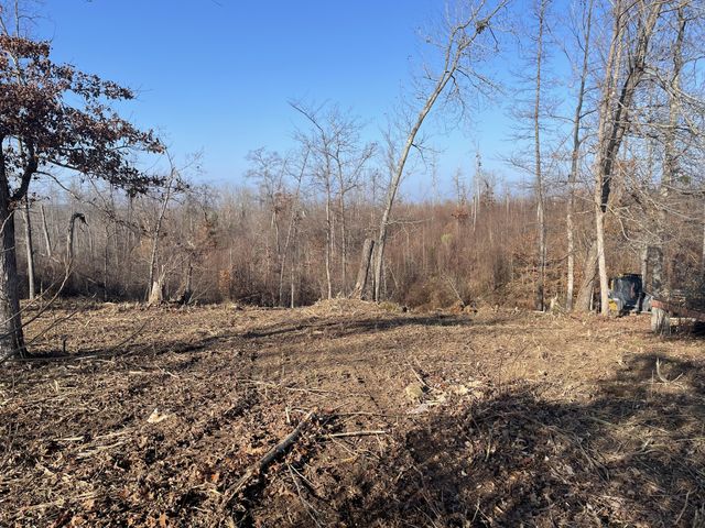 0 Driftwood Dr, Lobelville, TN 37097