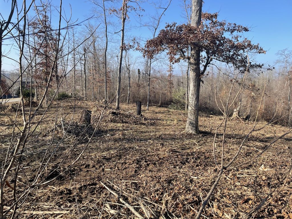 0 Driftwood Dr, Lobelville, TN 37097