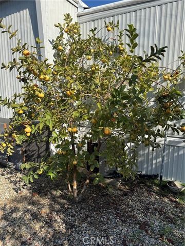 301 E Foothill 063, Pomona, CA 91767