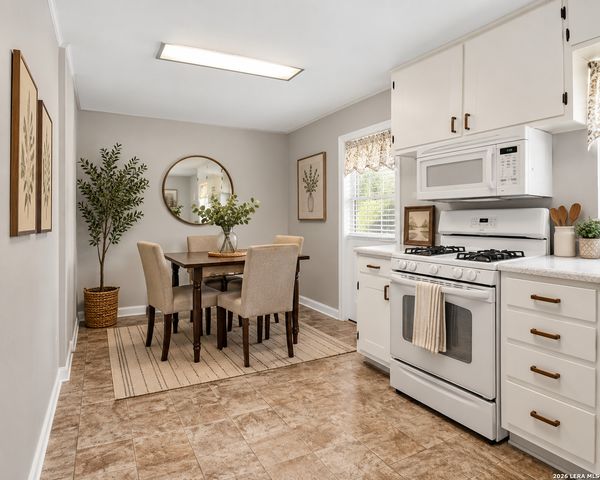 255 THOMPSON PL, San Antonio, TX 78225