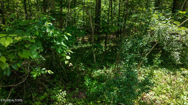 5011 Ostego Drive, Crossville, TN 38572