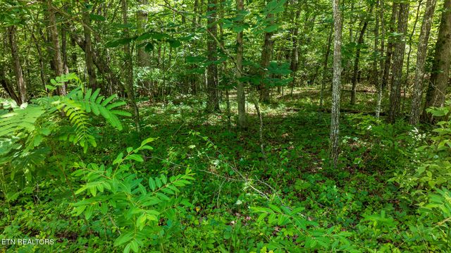 5011 Ostego Drive, Crossville, TN 38572