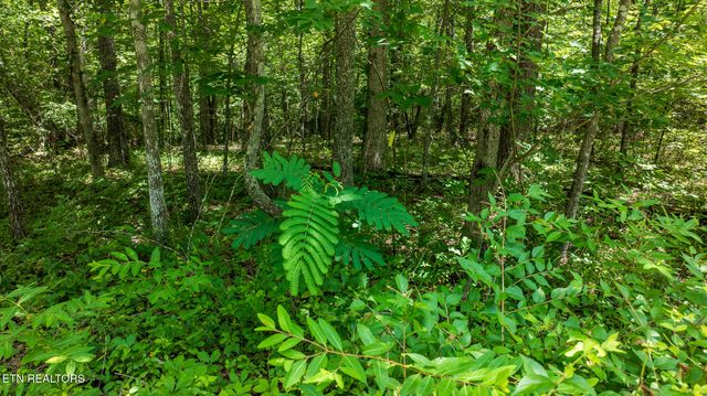 5011 Ostego Drive, Crossville, TN 38572