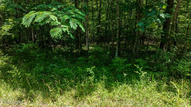 5011 Ostego Drive, Crossville, TN 38572