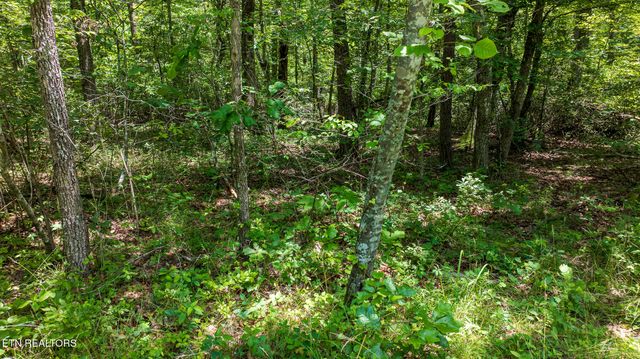 5011 Ostego Drive, Crossville, TN 38572