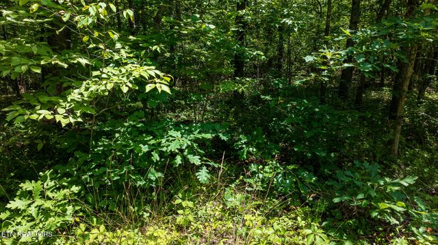 5011 Ostego Drive, Crossville, TN 38572