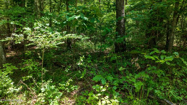 5011 Ostego Drive, Crossville, TN 38572