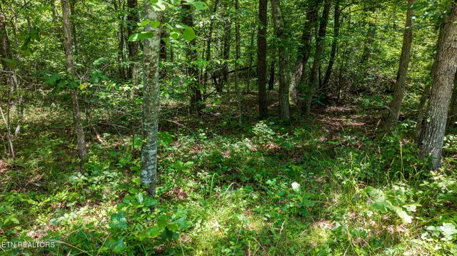 5011 Ostego Drive, Crossville, TN 38572