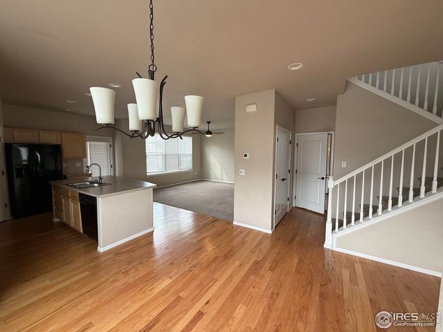 431 Ptarmigan St, Severance, CO 80550