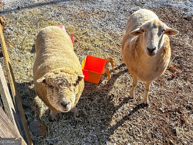 285 Dial Mill Road, Oxford, GA 30054