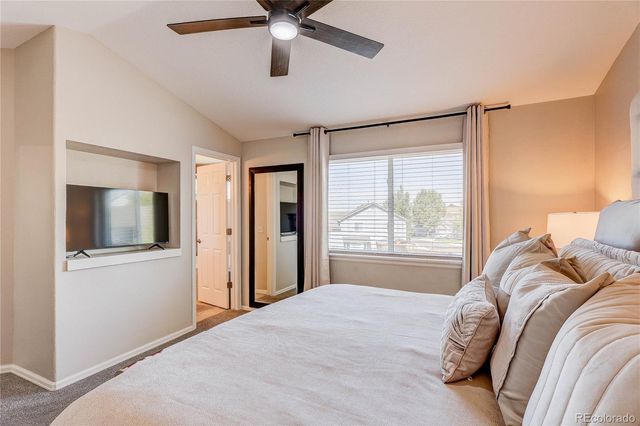 3769 Black Feather Trail, Castle Rock, CO 80104