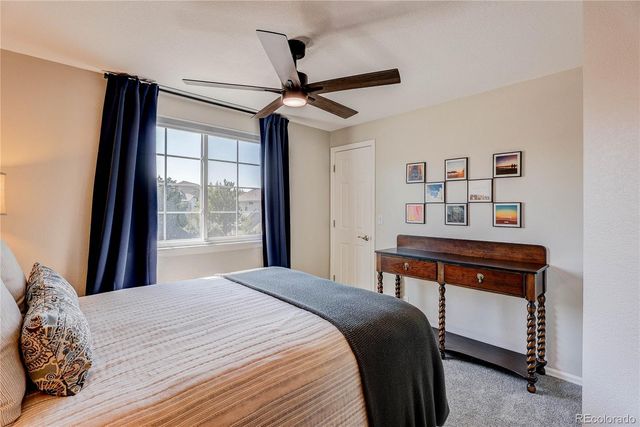 3769 Black Feather Trail, Castle Rock, CO 80104