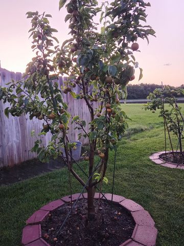 2121 S Upland Hills, Wichita, KS 67235