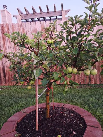 2121 S Upland Hills, Wichita, KS 67235