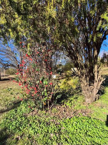 1306 Nevada 261, Prescott, AR 71857